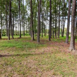 Photo #1 of 1.75ac Cobham Wharf Road, Surry, Virginia 1.8 acres