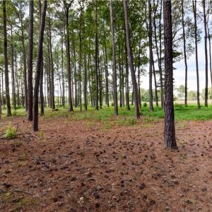 Photo #3 of 1.75ac Cobham Wharf Road, Surry, Virginia 1.8 acres