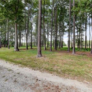 Photo #4 of 1.75ac Cobham Wharf Road, Surry, Virginia 1.8 acres