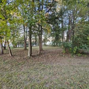 Photo #19 of 388 Cobham Bluff (LOT 8) Lane, Surry, Virginia 6.0 acres