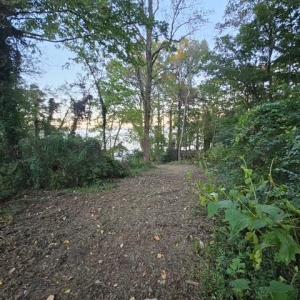 Photo #22 of 388 Cobham Bluff (LOT 8) Lane, Surry, Virginia 6.0 acres