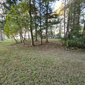 Photo #23 of 388 Cobham Bluff (LOT 8) Lane, Surry, Virginia 6.0 acres