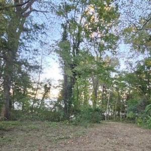 Photo #24 of 388 Cobham Bluff (LOT 8) Lane, Surry, Virginia 6.0 acres