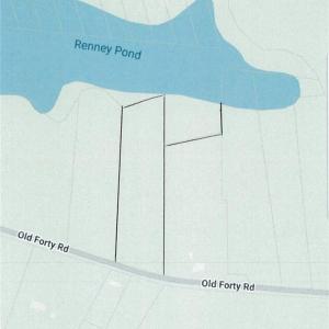 Plat represents wooded lot.