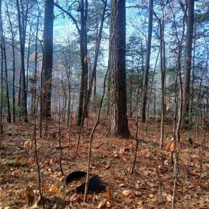 Beautifully wooded 5.43-acres
