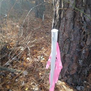 Marker is to the left of  wooded land