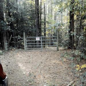 Fence is to the left of the wooded land