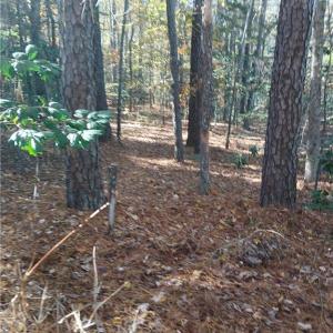 Great for hunting and fishing!