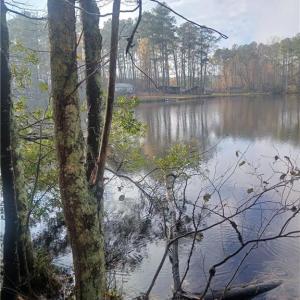 Photo #14 of 5.43A Old Forty Road, Sussex, Virginia 5.4 acres