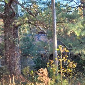 Photo #4 of 768 Carolina Road, Suffolk, Virginia 5.3 acres