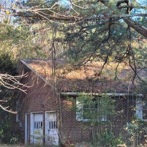 Photo #5 of 768 Carolina Road, Suffolk, Virginia 5.3 acres