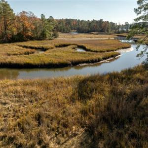 Photo #19 of 3.87ac Cunningham Lane, Gloucester, Virginia 3.9 acres