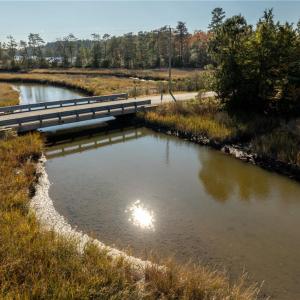 Photo #20 of 3.87ac Cunningham Lane, Gloucester, Virginia 3.9 acres