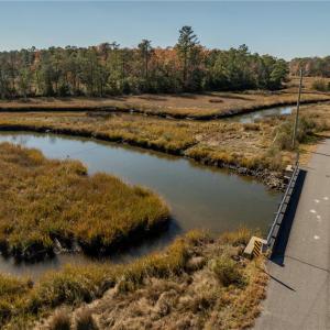 Photo #3 of 3.87ac Cunningham Lane, Gloucester, Virginia 3.9 acres