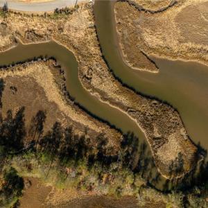 Photo #15 of 3.87ac Cunningham Lane, Gloucester, Virginia 3.9 acres