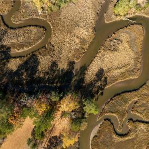 Photo #17 of 3.87ac Cunningham Lane, Gloucester, Virginia 3.9 acres