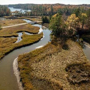 Photo #18 of 3.87ac Cunningham Lane, Gloucester, Virginia 3.9 acres