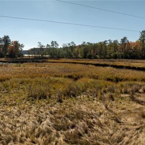 Photo #4 of 3.87ac Cunningham Lane, Gloucester, Virginia 3.9 acres