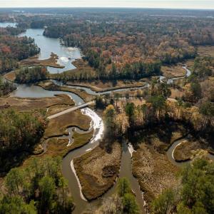 Photo #8 of 3.87ac Cunningham Lane, Gloucester, Virginia 3.9 acres