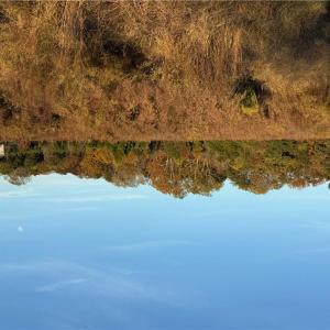 Photo #11 of GWYN Lane, Hayes, Virginia 7.9 acres