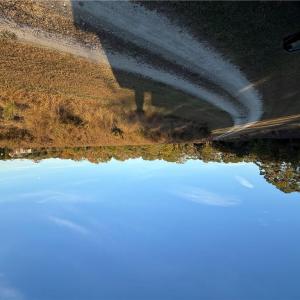 Photo #9 of GWYN Lane, Hayes, Virginia 7.9 acres