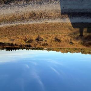 Photo #8 of 5.1+AC GWYN Lane, Hayes, Virginia 7.9 acres