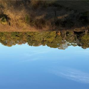 Photo #10 of 5.1+AC GWYN Lane, Hayes, Virginia 7.9 acres