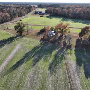 Photo #6 of 8811 Rolfe Highway, Dendron, Virginia 150.0 acres