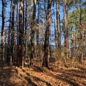 Photo #1 of Lot 23 Chambliss Road, Emporia, Virginia 0.2 acres