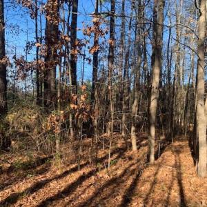 Photo #3 of Lot 23 Chambliss Road, Emporia, Virginia 0.2 acres