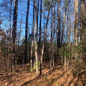 Photo #5 of Lot 23 Chambliss Road, Emporia, Virginia 0.2 acres