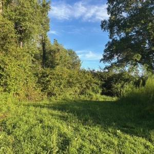 Photo #12 of 7496 Yellow Hammer Road, Zuni, Virginia 13.0 acres