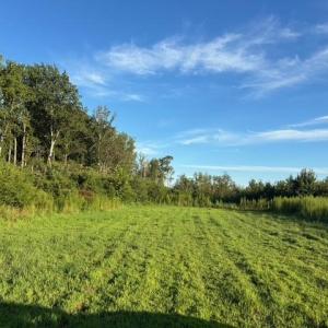 Photo #14 of 7496 Yellow Hammer Road, Zuni, Virginia 13.0 acres