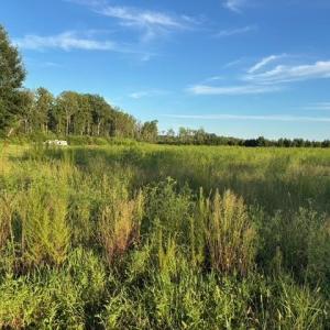 Photo #18 of 7496 Yellow Hammer Road, Zuni, Virginia 13.0 acres