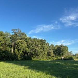 Photo #3 of 7496 Yellow Hammer Road, Zuni, Virginia 13.0 acres