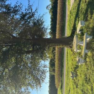 Photo #4 of 7496 Yellow Hammer Road, Zuni, Virginia 13.0 acres