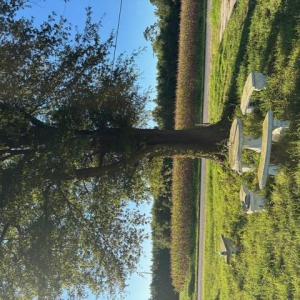 Photo #5 of 7496 Yellow Hammer Road, Zuni, Virginia 13.0 acres