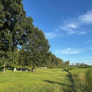 Photo #9 of 7496 Yellow Hammer Road, Zuni, Virginia 13.0 acres