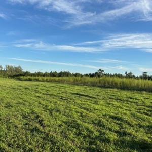 Photo #10 of 7496 Yellow Hammer Road, Zuni, Virginia 13.0 acres