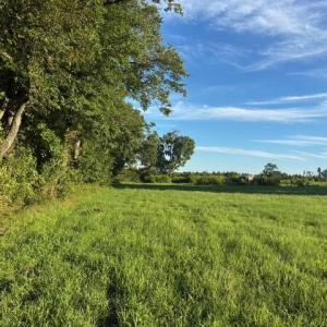 Photo #2 of 7496 Yellow Hammer Road, Zuni, Virginia 13.0 acres