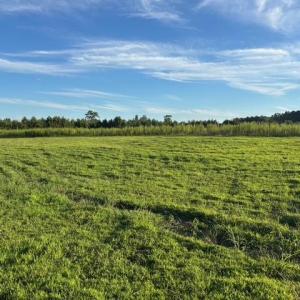 Photo #11 of 7496 Yellow Hammer Road, Zuni, Virginia 13.0 acres