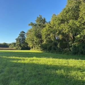 Photo #13 of 7496 Yellow Hammer Road, Zuni, Virginia 13.0 acres