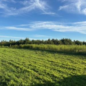 Photo #15 of 7496 Yellow Hammer Road, Zuni, Virginia 13.0 acres