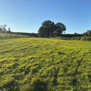 Photo #16 of 7496 Yellow Hammer Road, Zuni, Virginia 13.0 acres