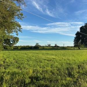 Photo #17 of 7496 Yellow Hammer Road, Zuni, Virginia 13.0 acres