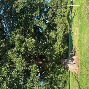 Photo #7 of 7496 Yellow Hammer Road, Zuni, Virginia 13.0 acres