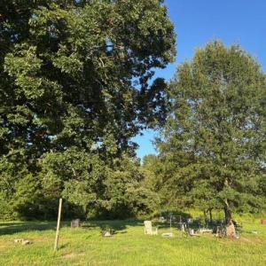 Photo #8 of 7496 Yellow Hammer Road, Zuni, Virginia 13.0 acres