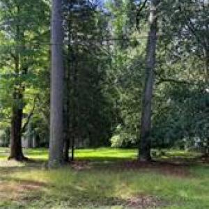 Photo #2 of 1041 Washington Drive, Chesapeake, Virginia 0.4 acres