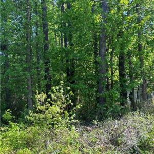 Photo #1 of 1070 Washington Drive, Chesapeake, Virginia 2.3 acres