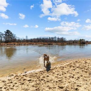 Photo #20 of 28094 Clarksbury Road, Boykins, Virginia 1,036.0 acres